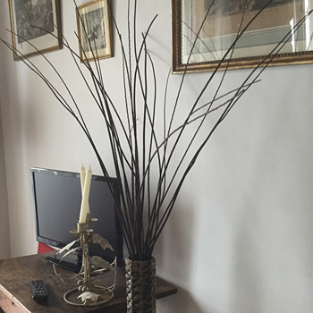 Télévision dans les chambres d'hôtes